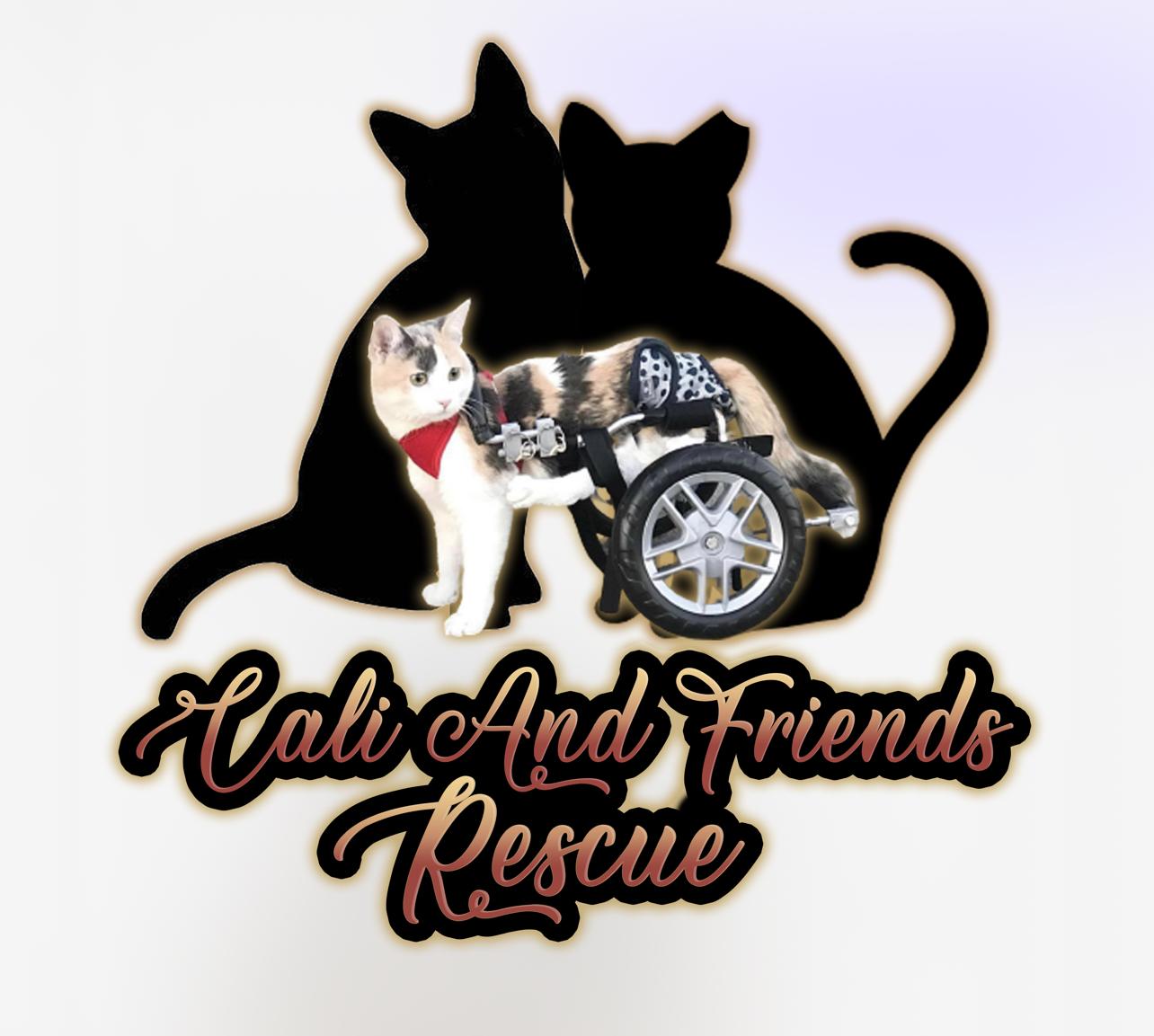 Cali and Friends Rescue