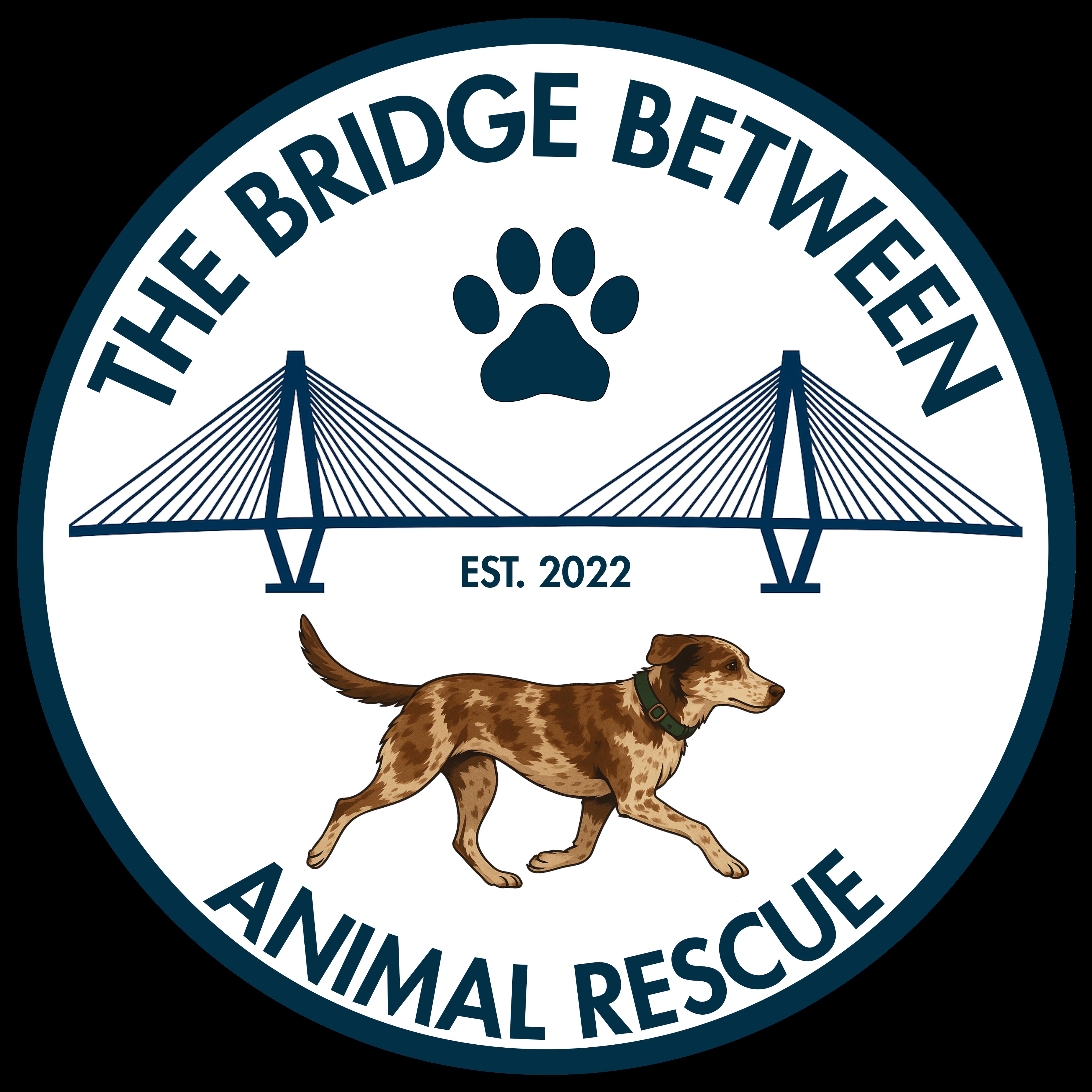 The Bridge Between Animal Rescue