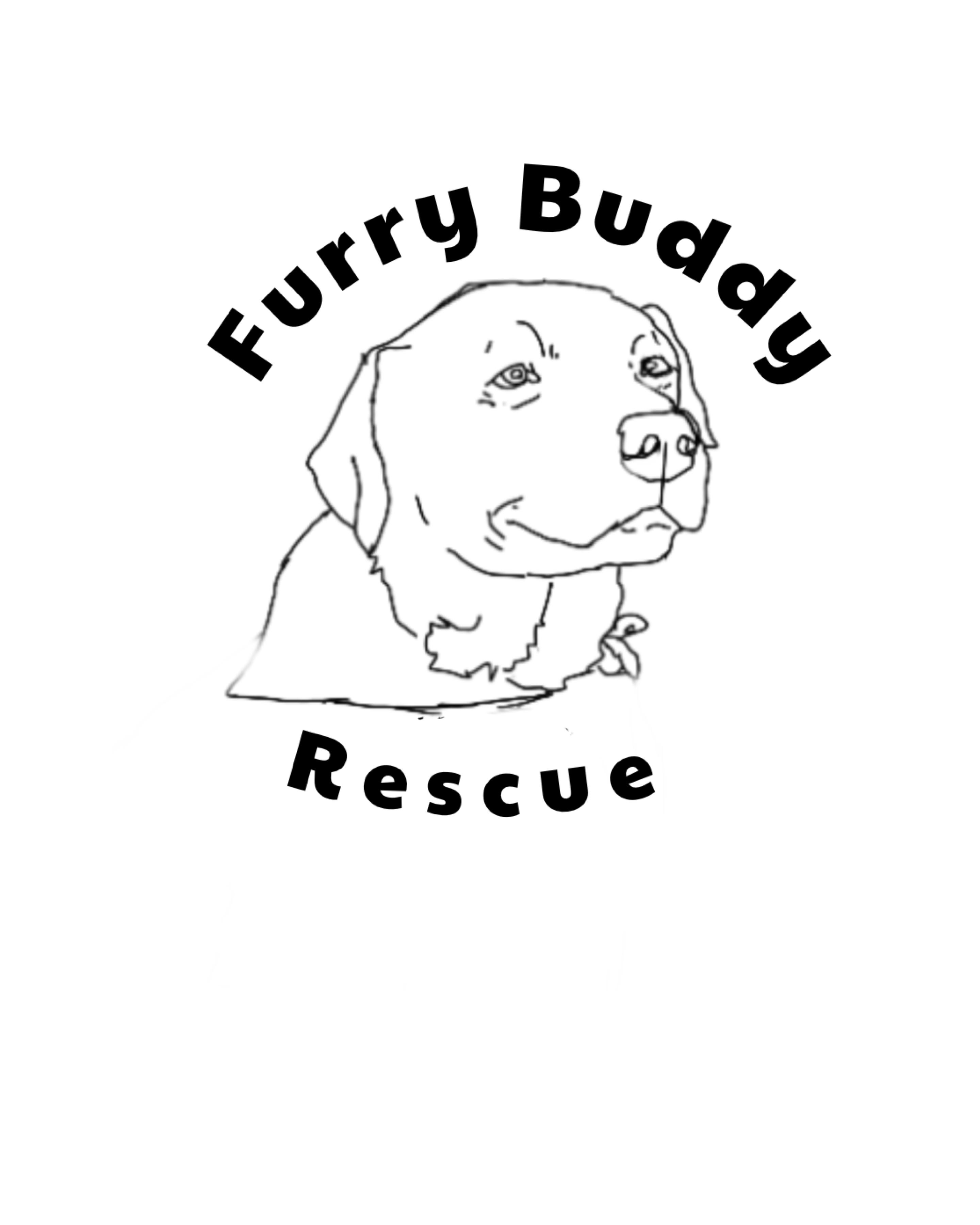 Furry Buddy Rescue