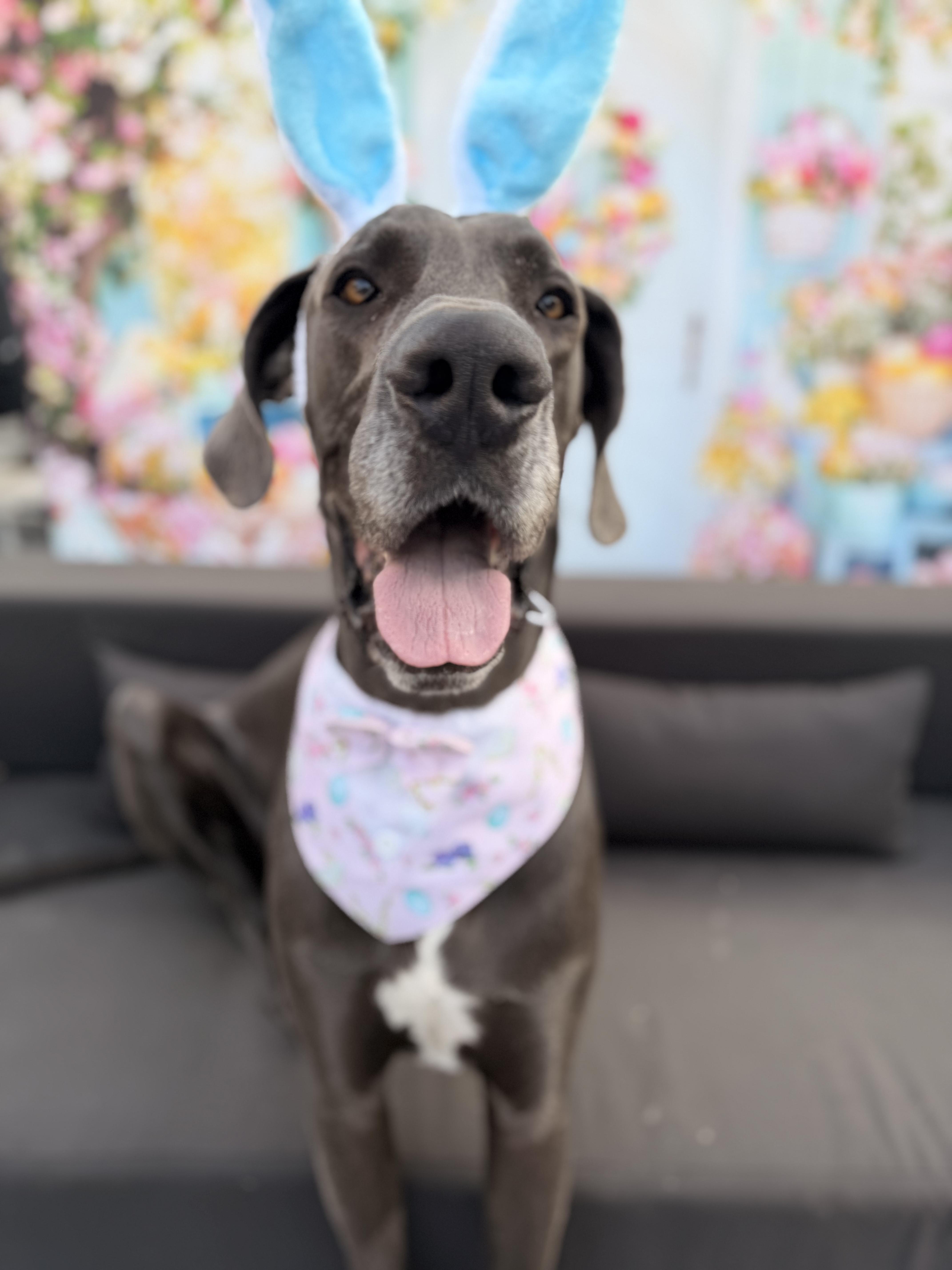 Goodest