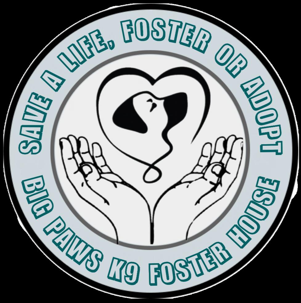 Big Paws K9 Foster House