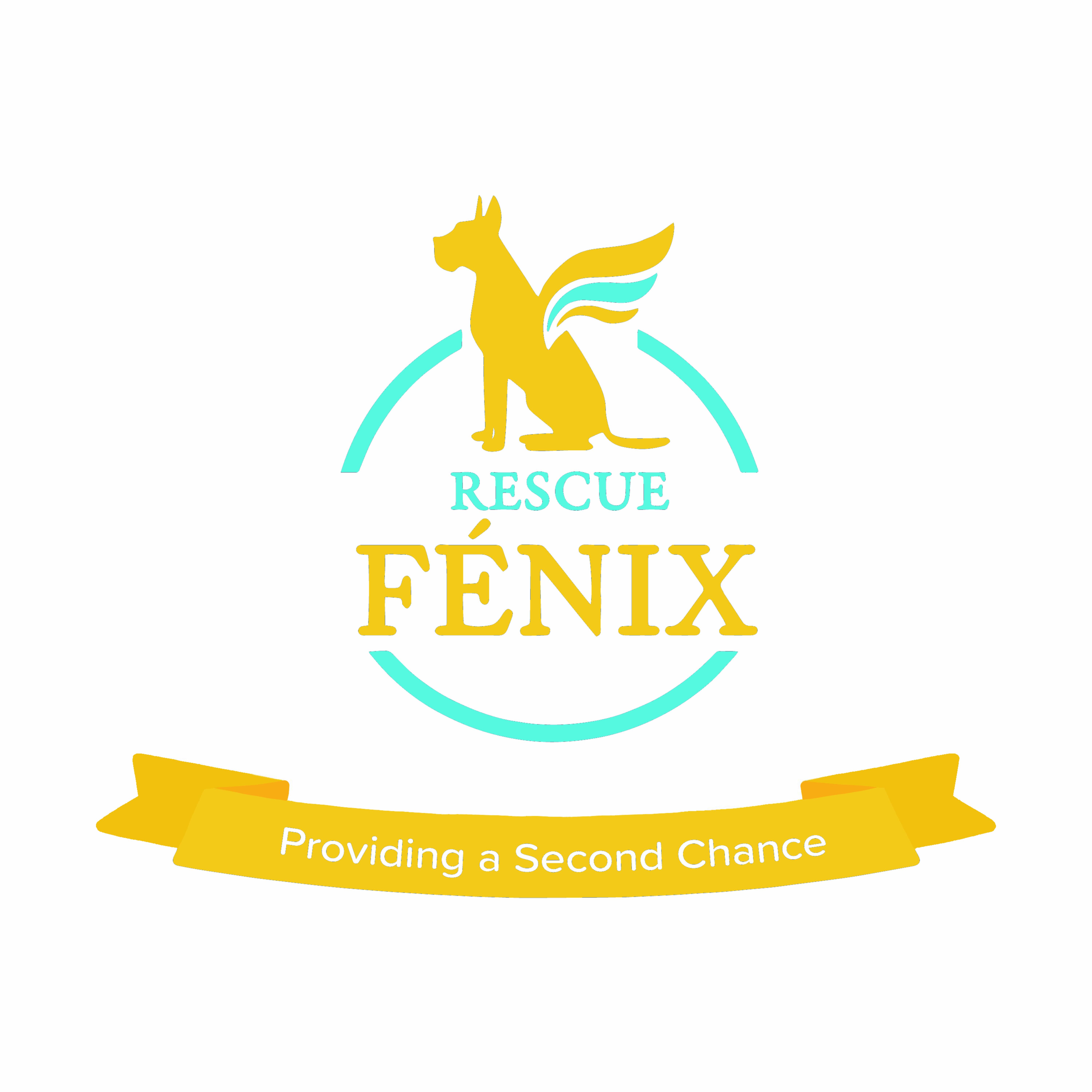 RESCUE FENIX