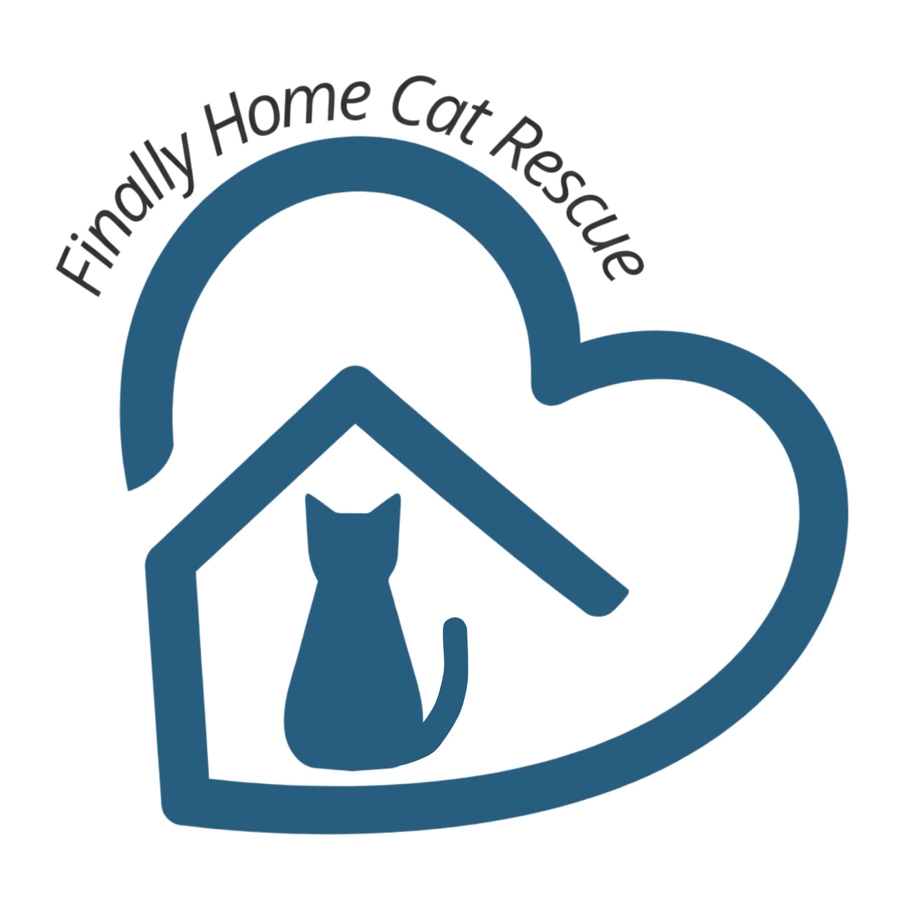 Finally Home Cat Rescue