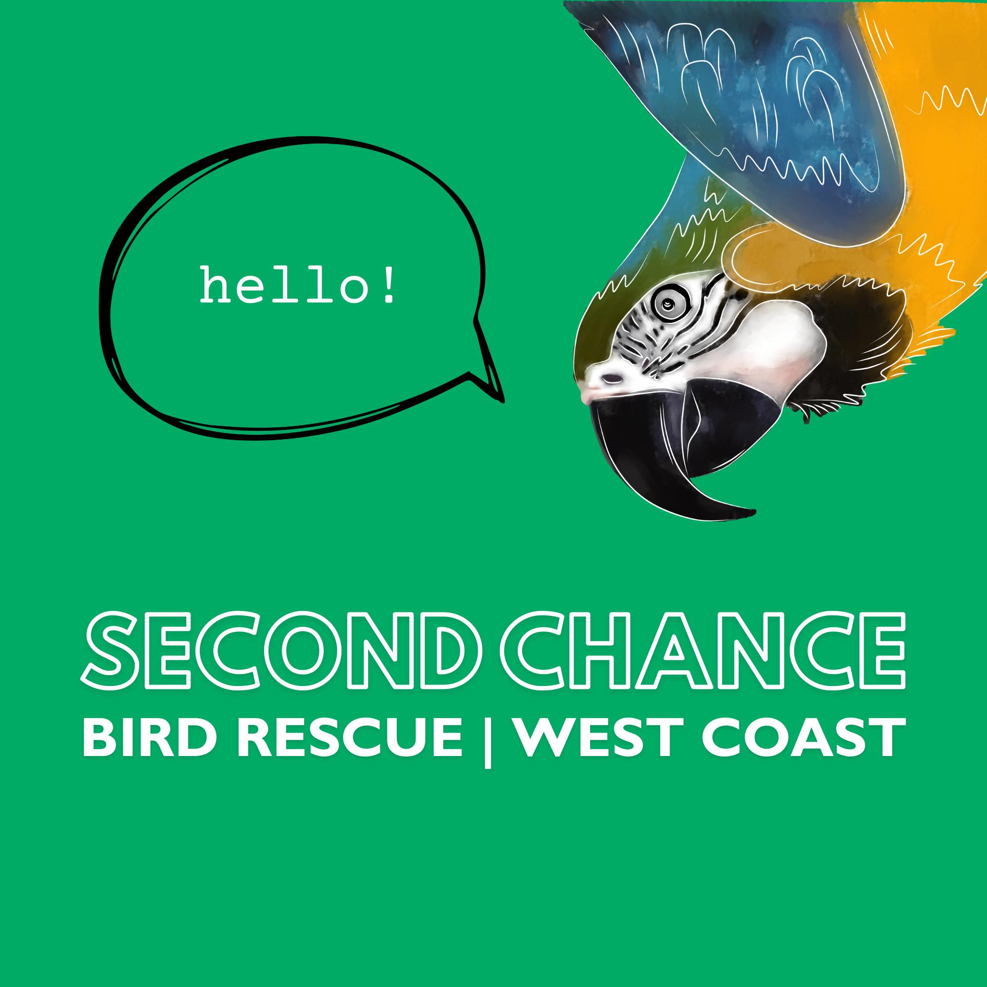 Second Chance Bird Rescue West Coast Division