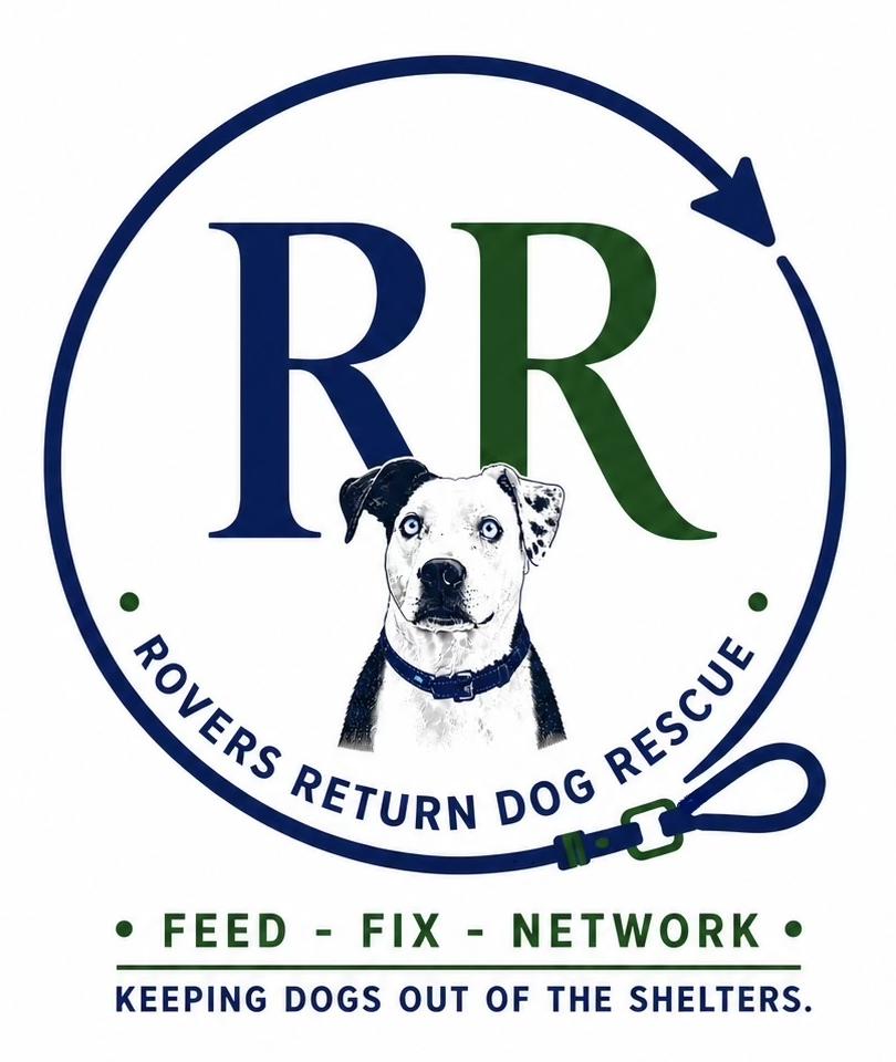 Rover's Return Rescue