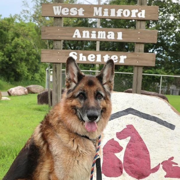 West Milford Animal Shelter