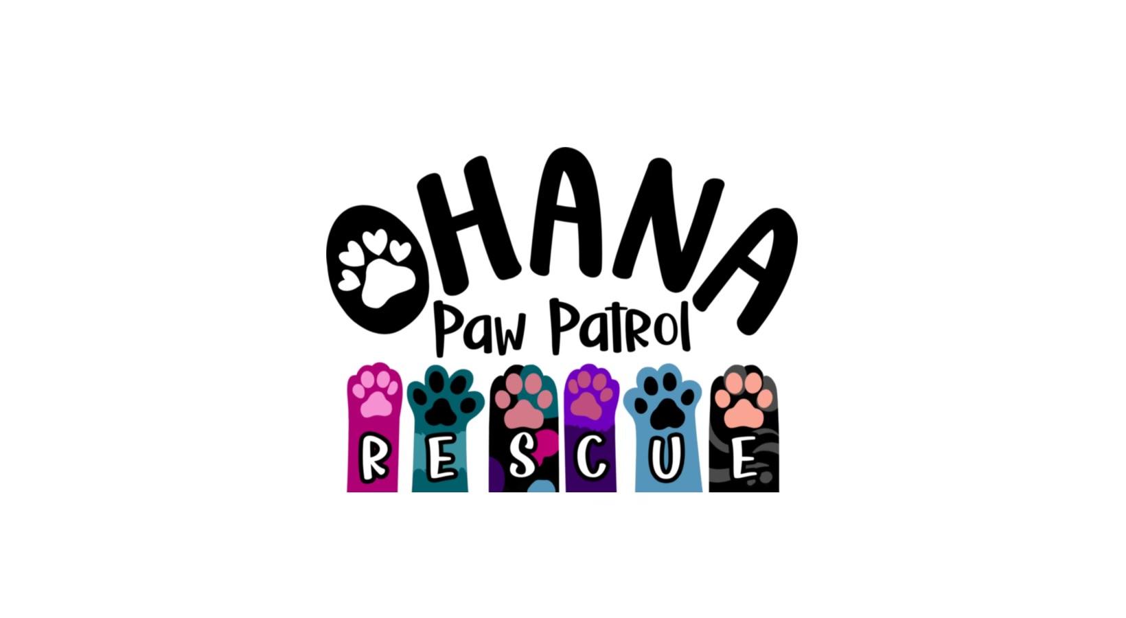 Ohana Paw Patrol Rescue
