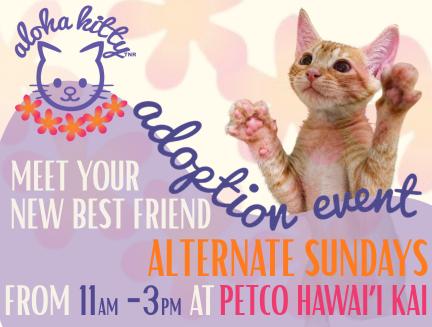 Aloha Kitty TNR photo 2