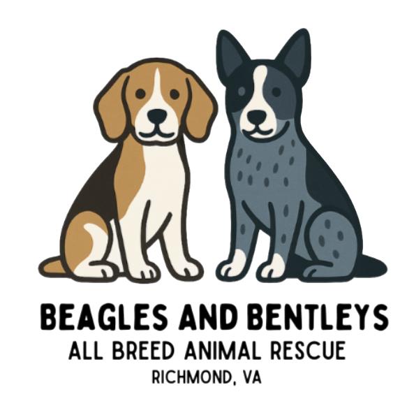 Beagles and Bentleys