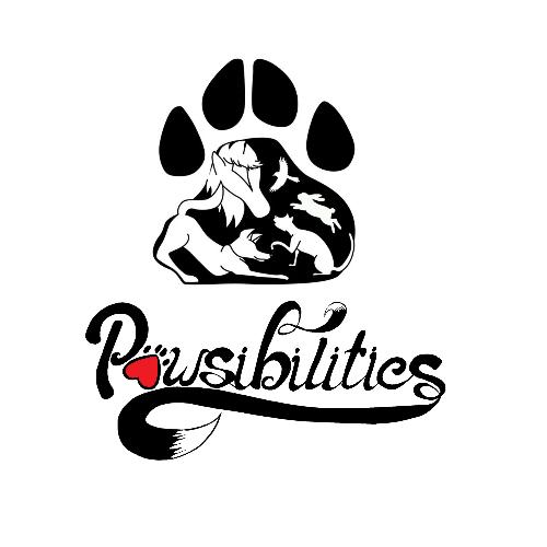 Pawsibilities photo 3