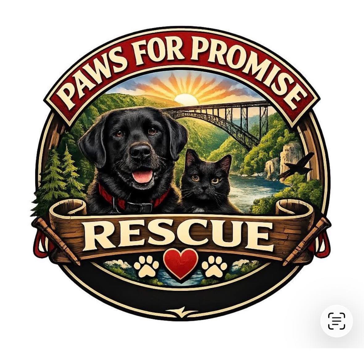 Paws for Promise