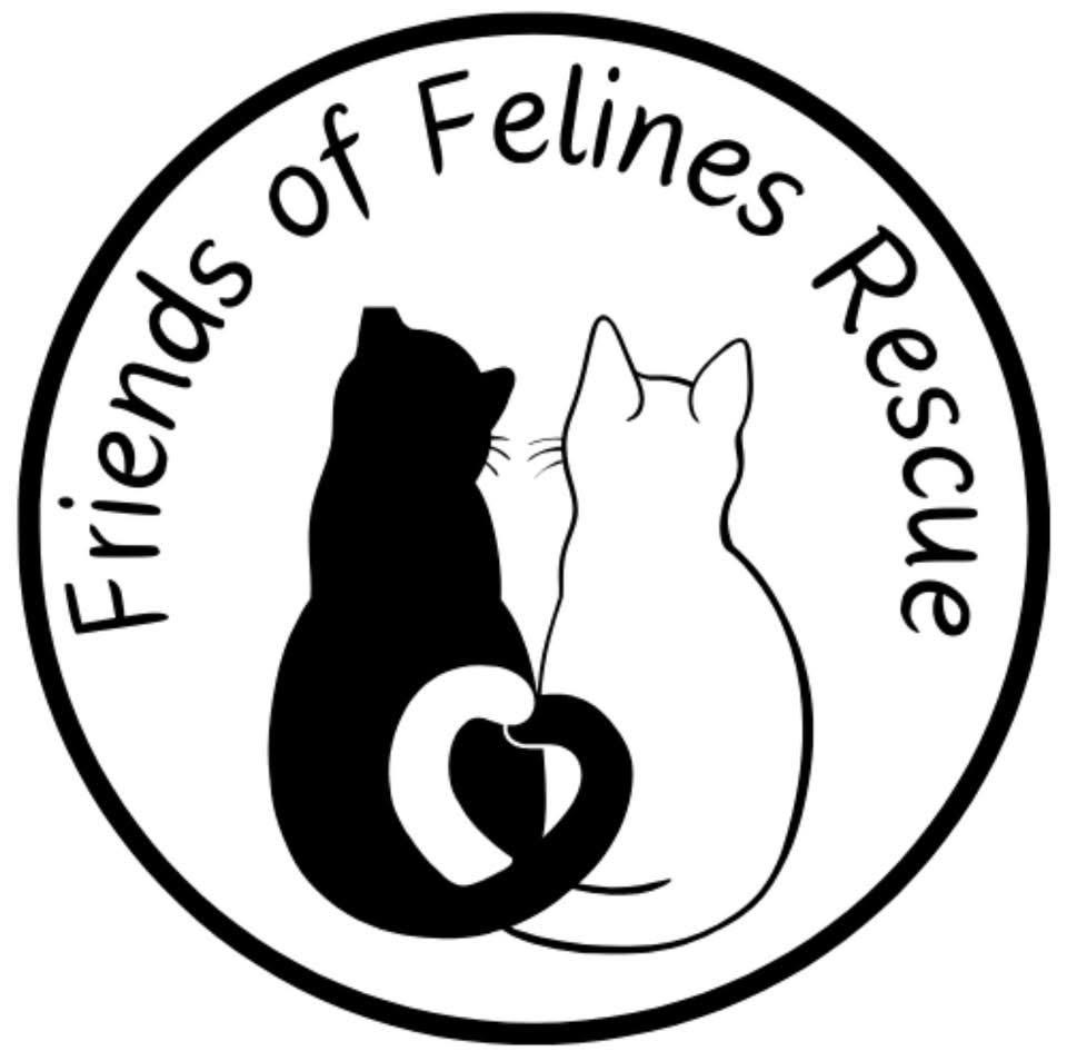 Friends of Felines Rescue