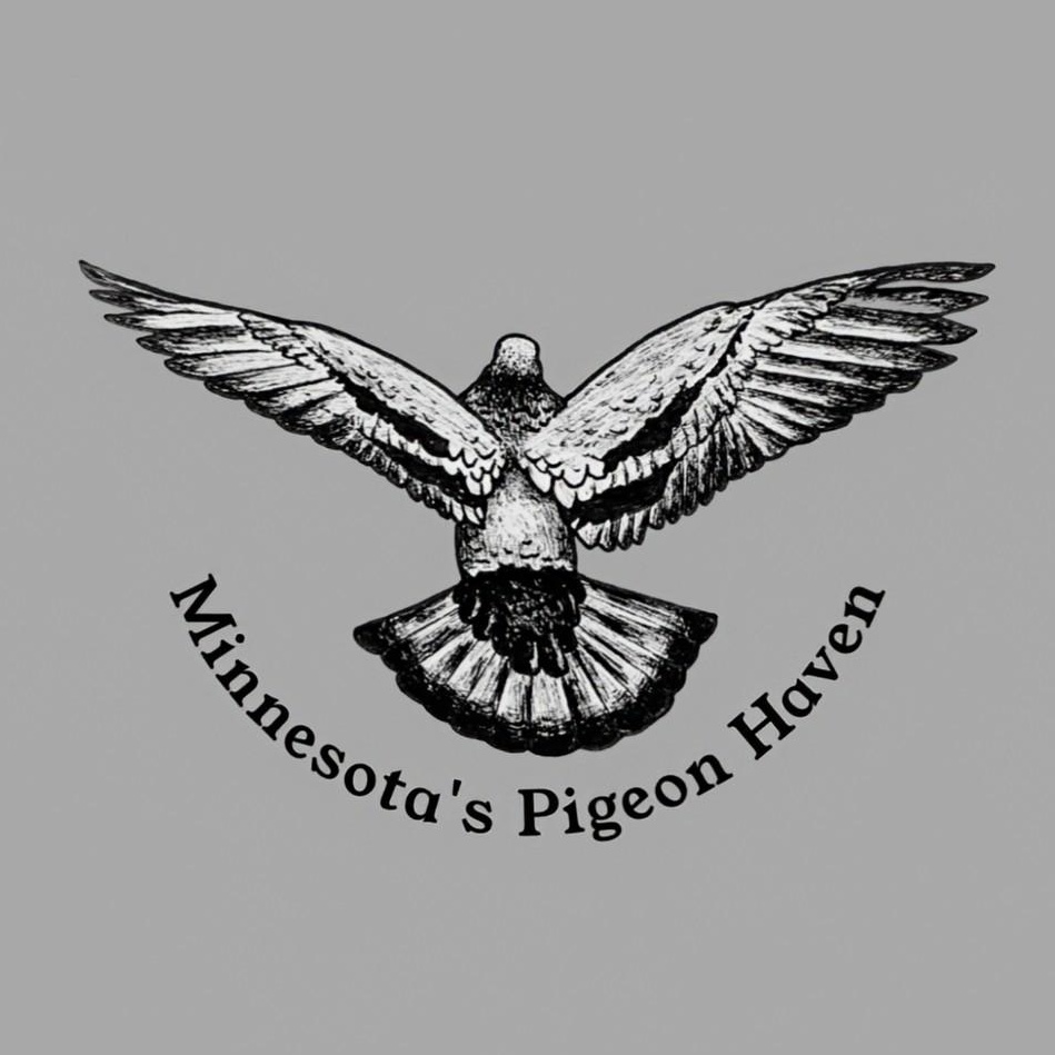 Minnesota's Pigeon Haven