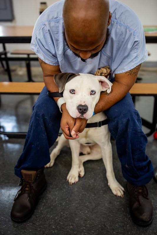 New Leash on Life USA