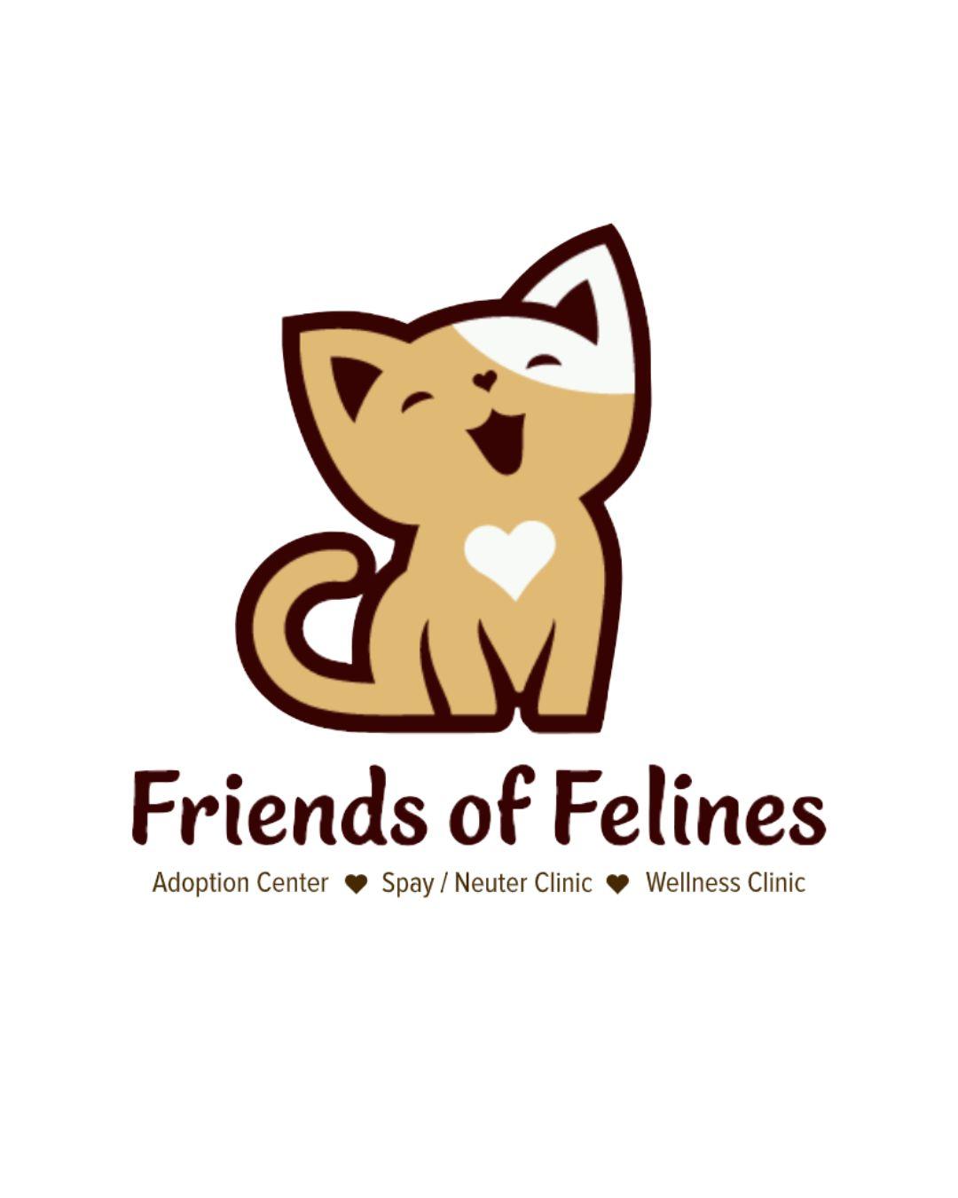 Salem Friends of Felines