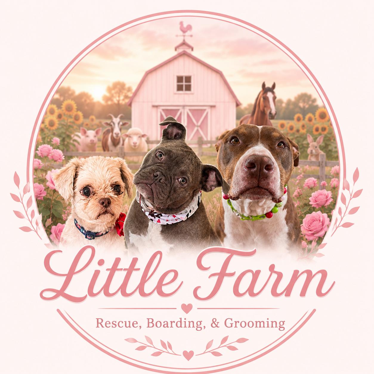 Little Farm