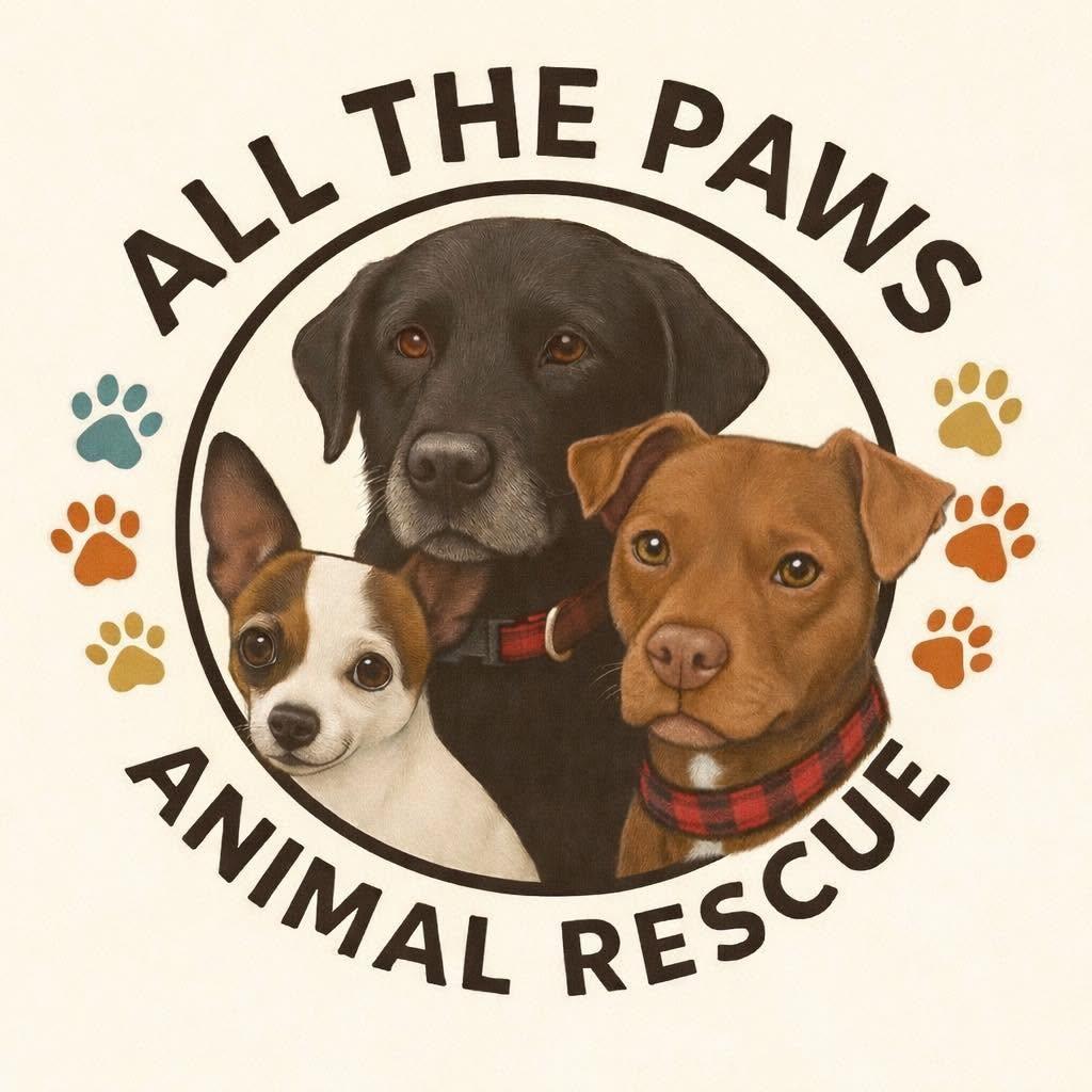 All The Paws Animal Rescue