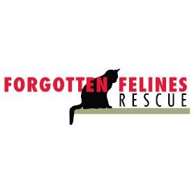 Forgotten Felines Rescue