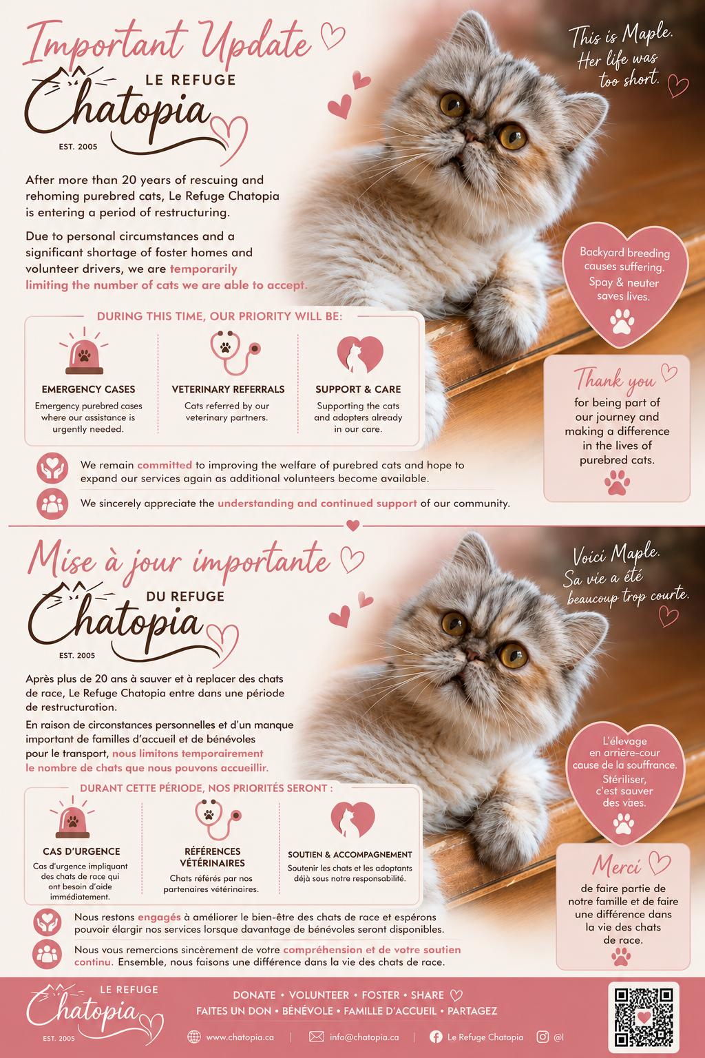 Chatopia (formerly Animal Adoption Montreal) photo 5