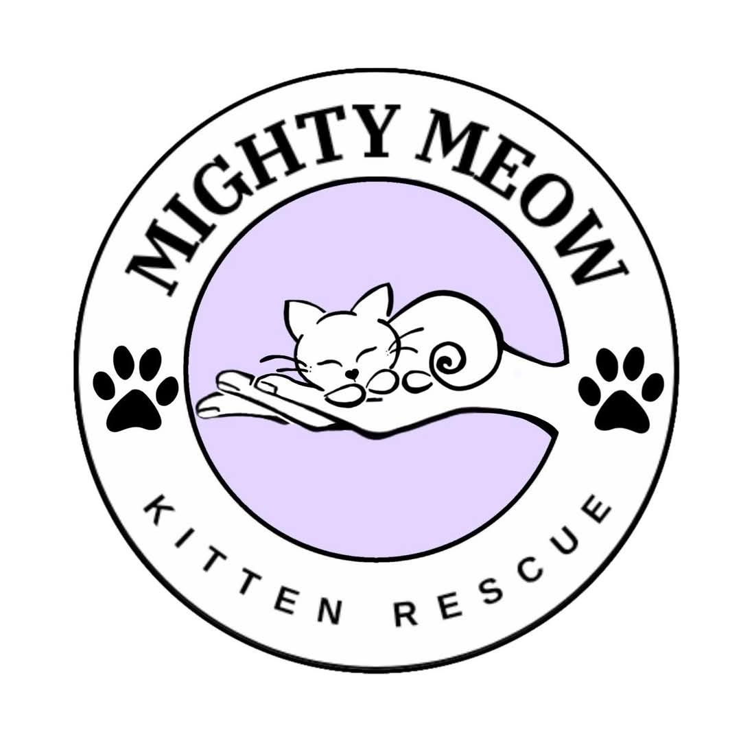 Mighty Meow Kitten Rescue