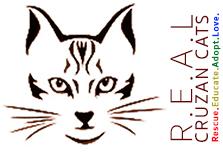 R.E.A.L. Cruzan Cats