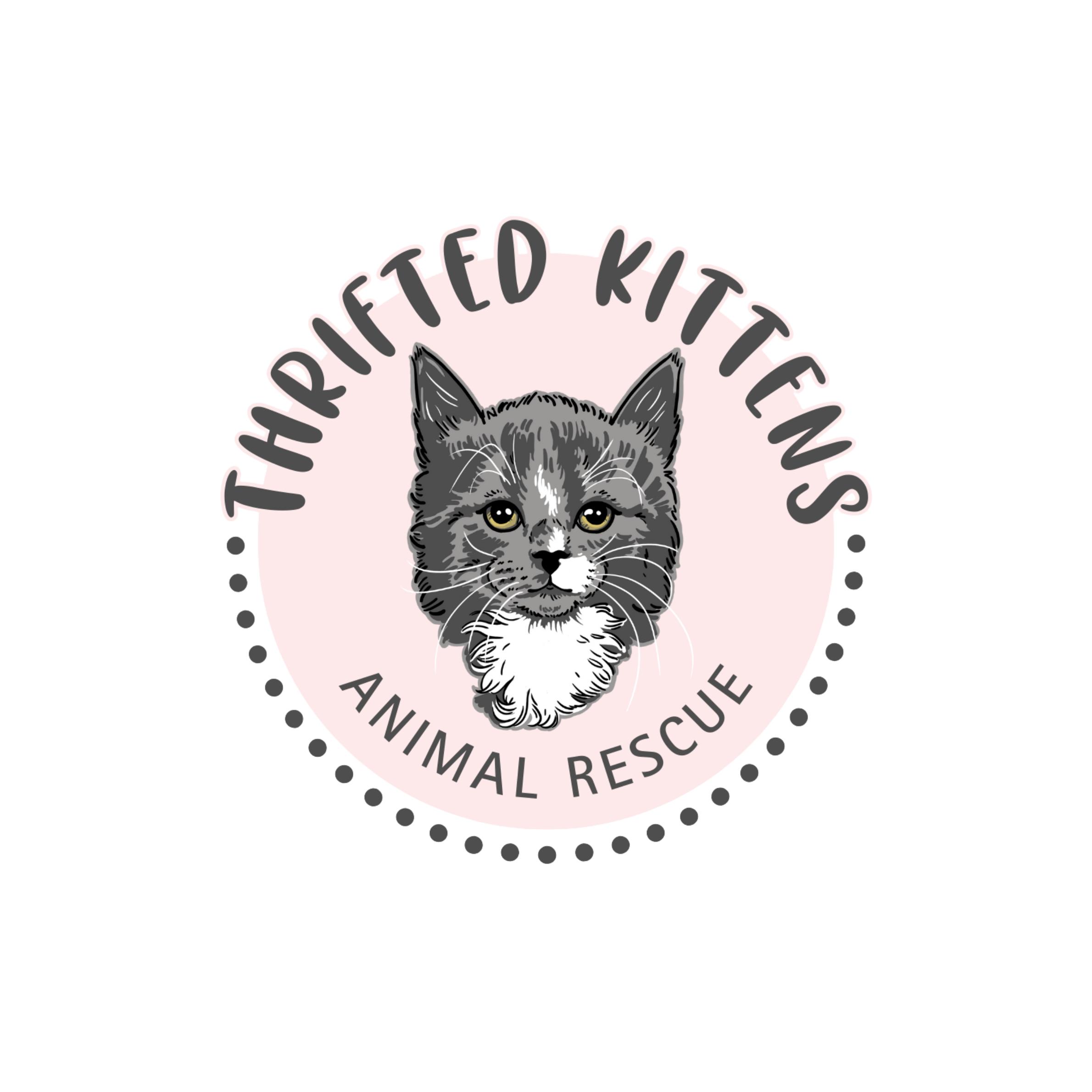 Thrifted Kittens Animal Rescue