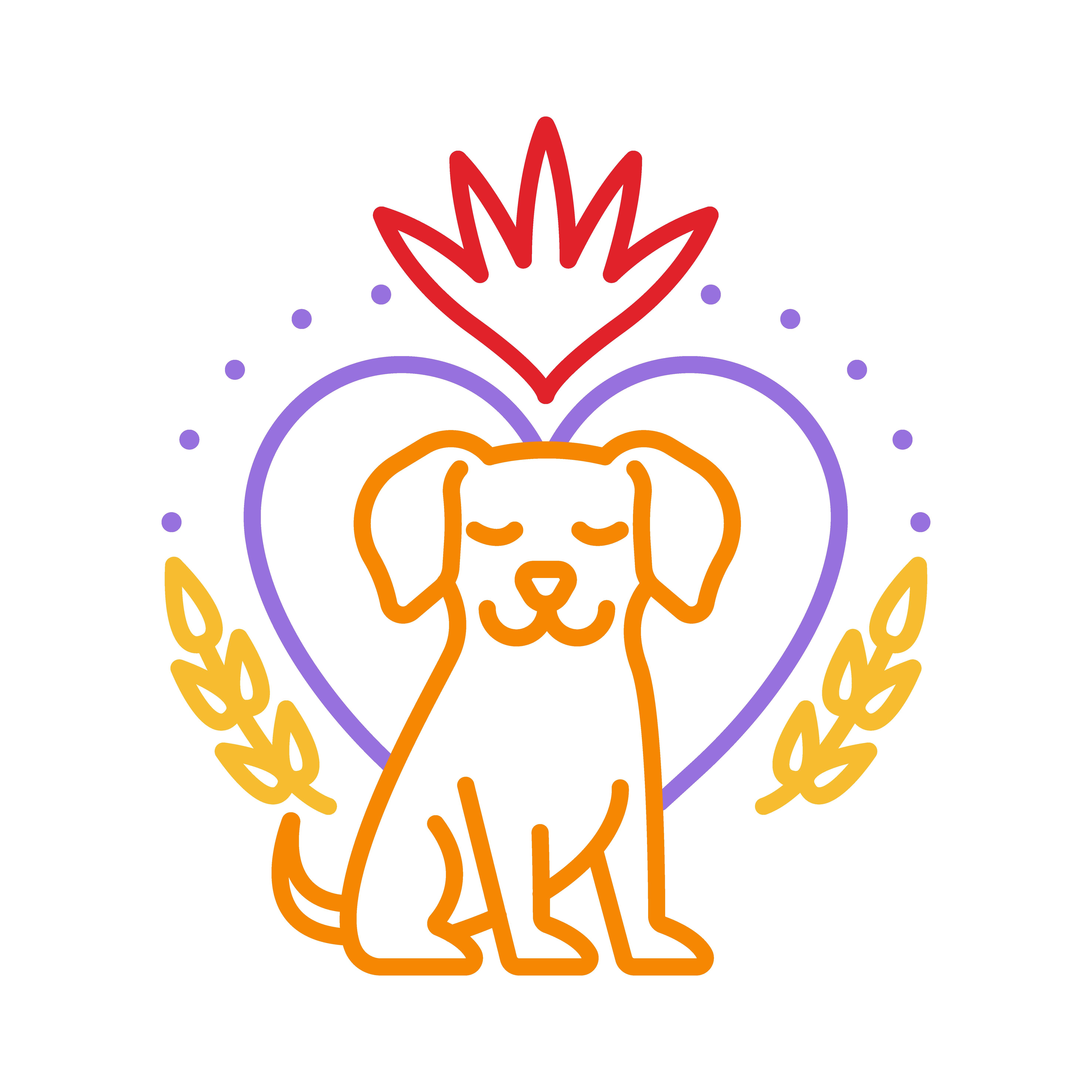 From Stray to Stay Rescue