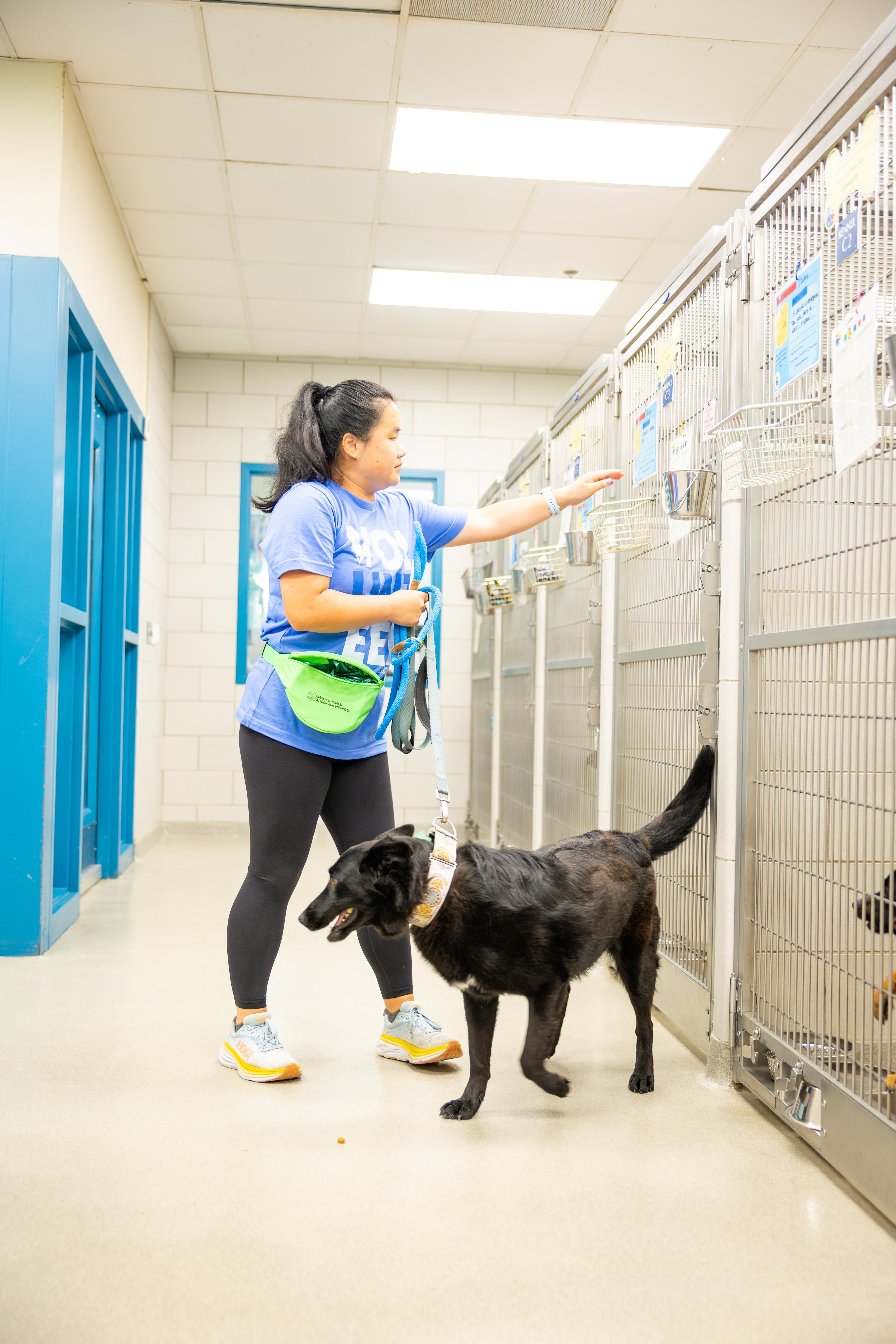 Nashville Humane Association photo 2