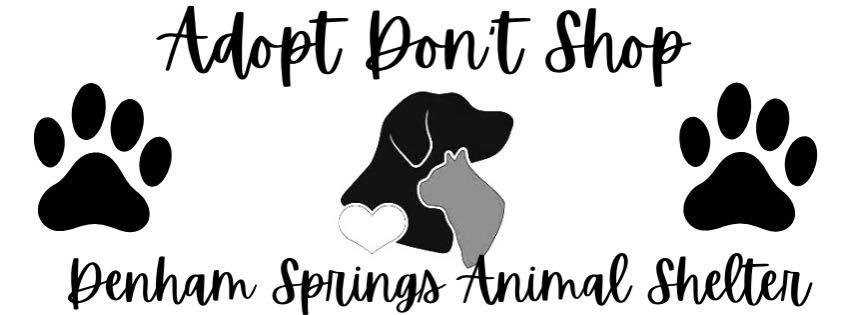 Denham Springs Animal Shelter