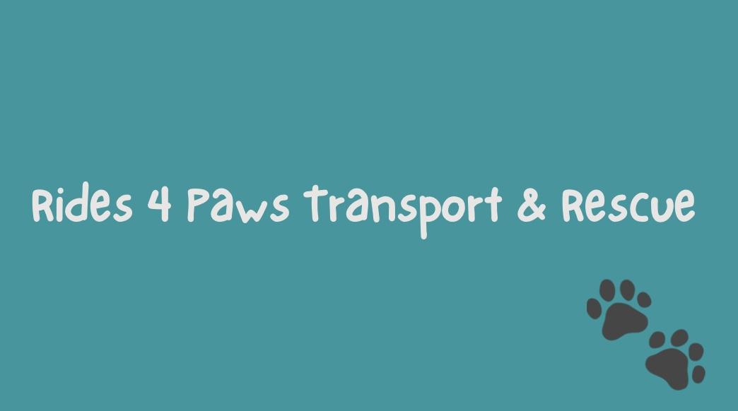 Rides 4 Paws Rescue