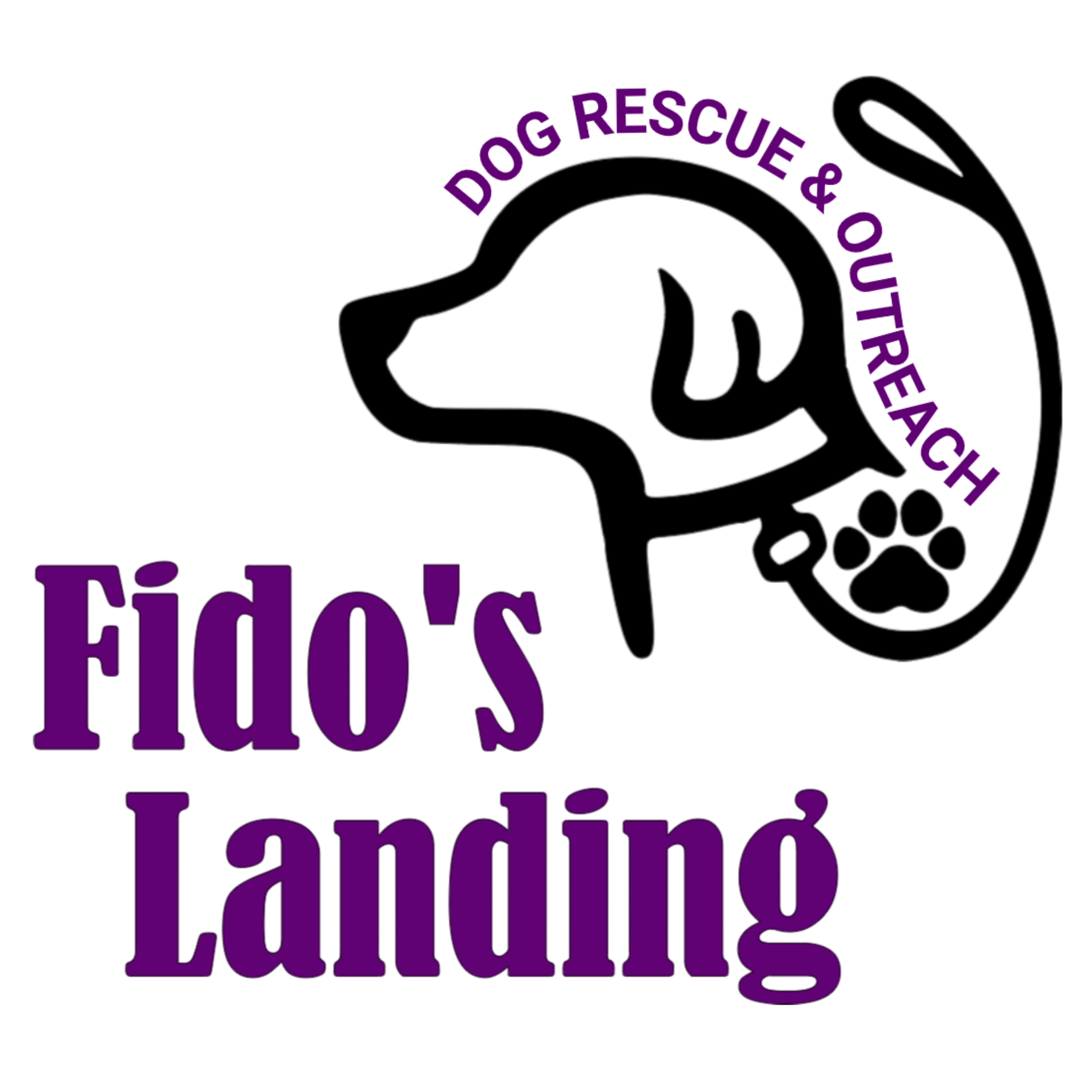 Fido's Landing, Inc. NFP