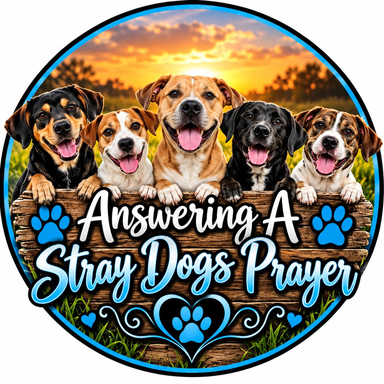 Answering A Stray Dogs Prayer