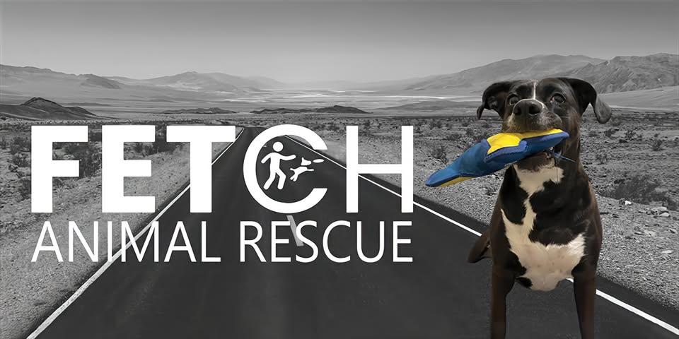 Fetch Animal Rescue
