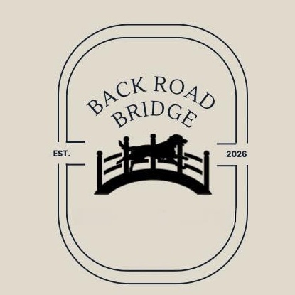 Backroad Bridge Rescue