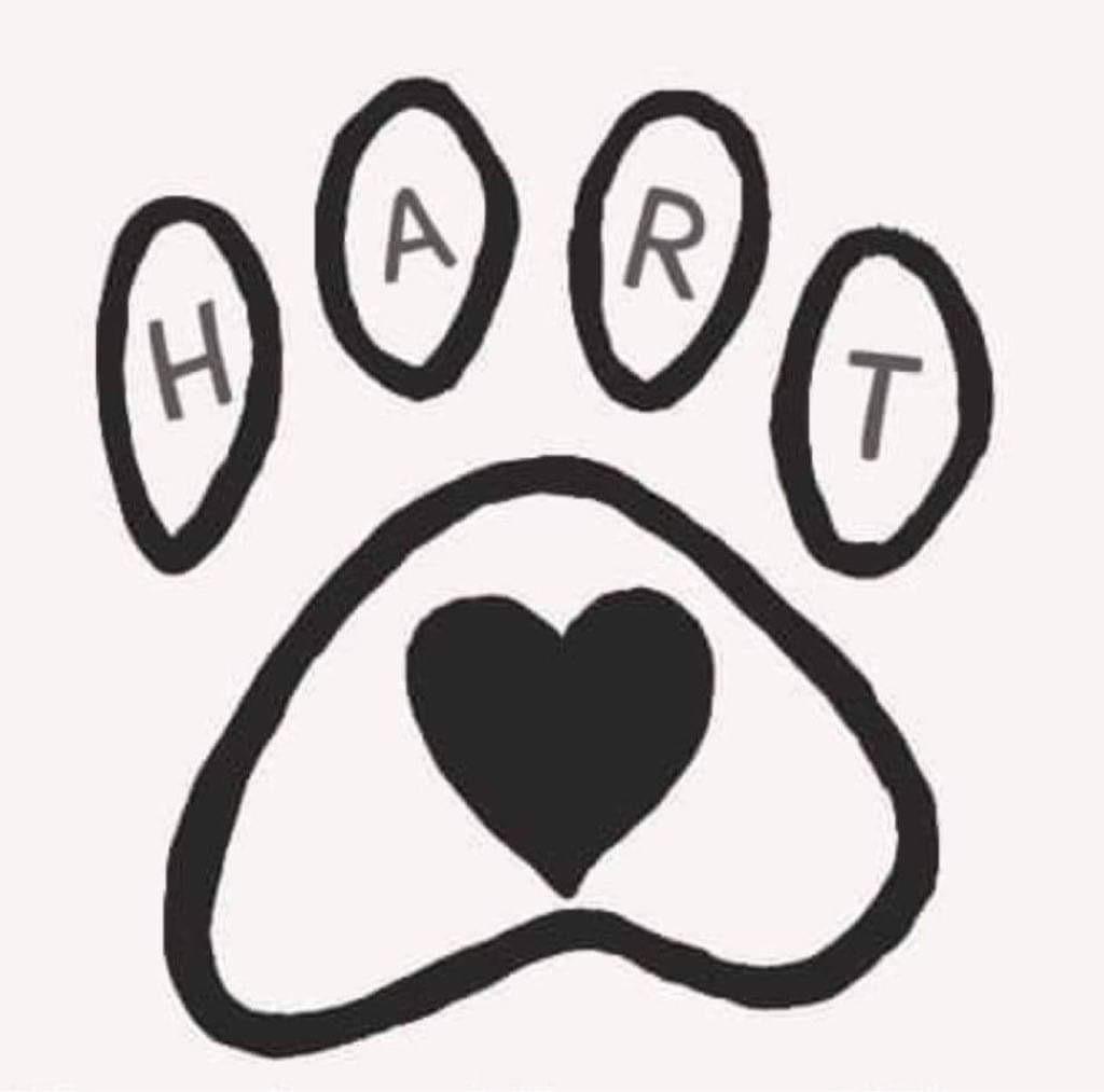 Haven Animal Rescue of Texas