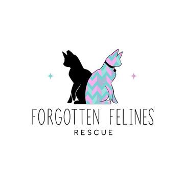 Forgotten Felines Rescue