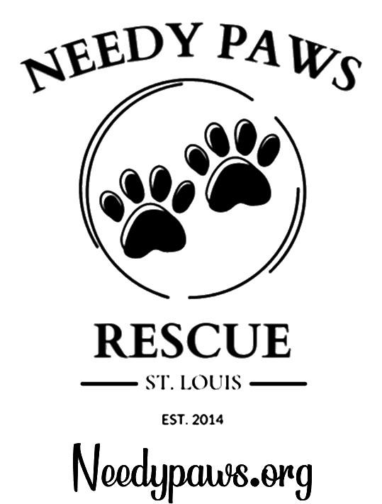 Needy Paws Rescue