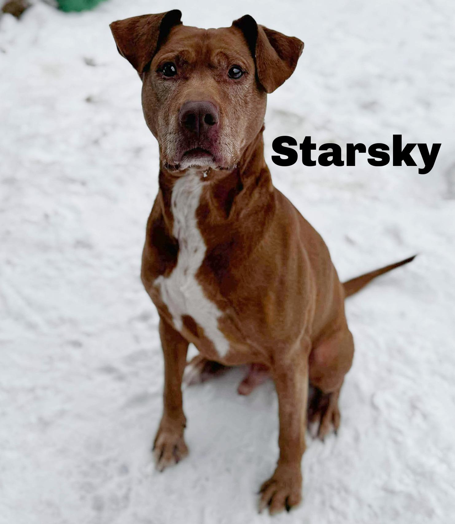 Delta Animal Shelter