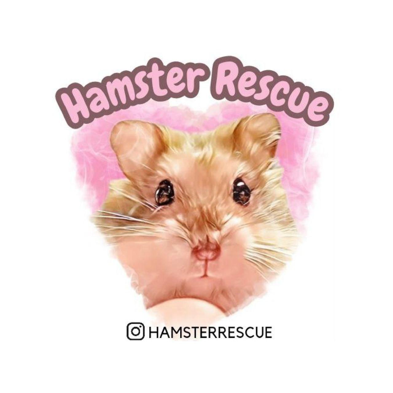 Hamster Rescue