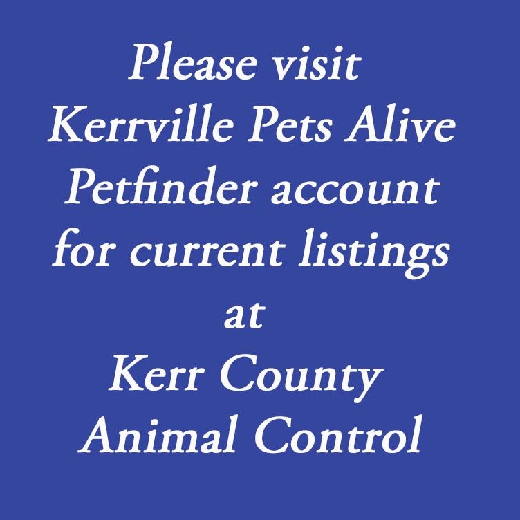 Kerr County Animal Control