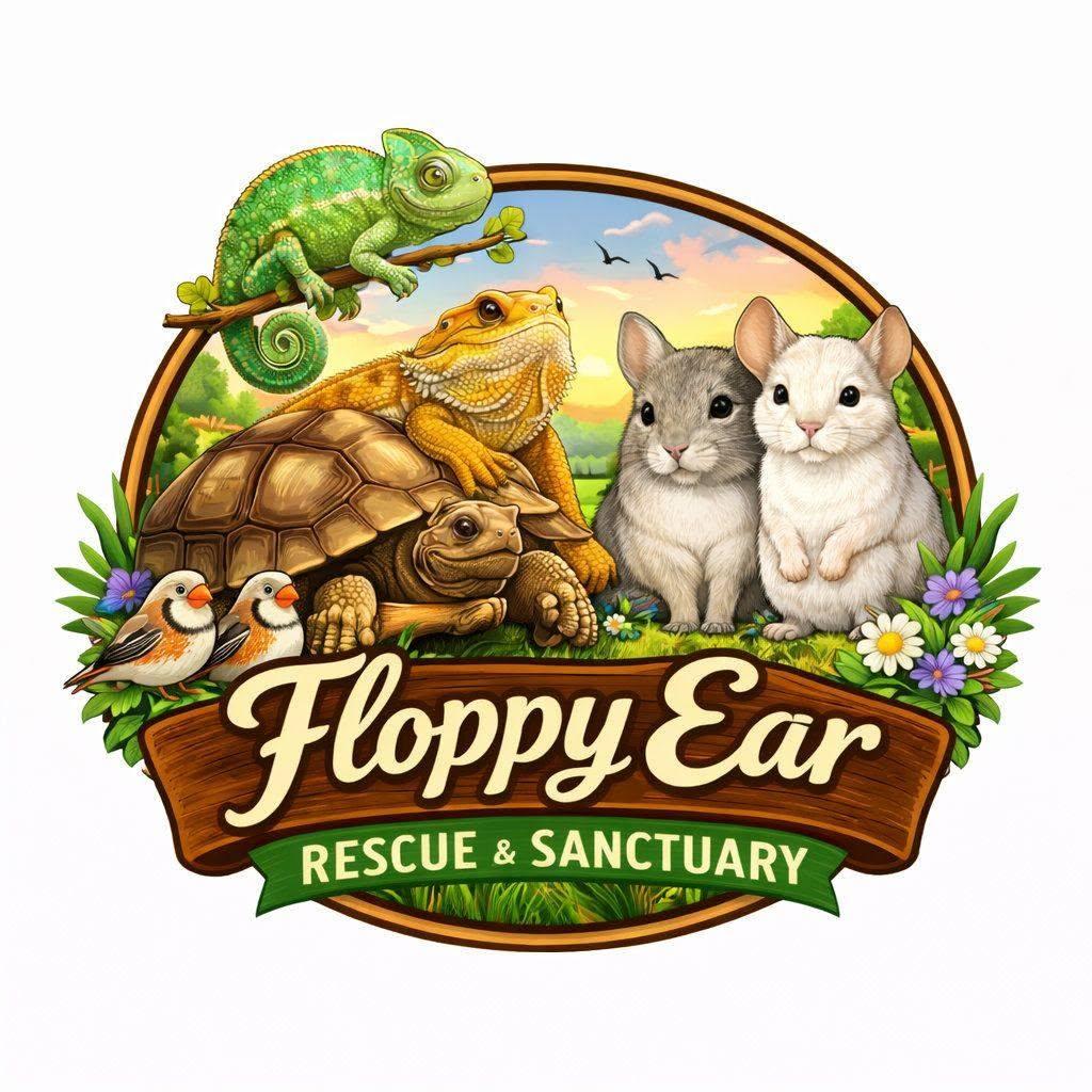 Floppy Ear Rescue LLC