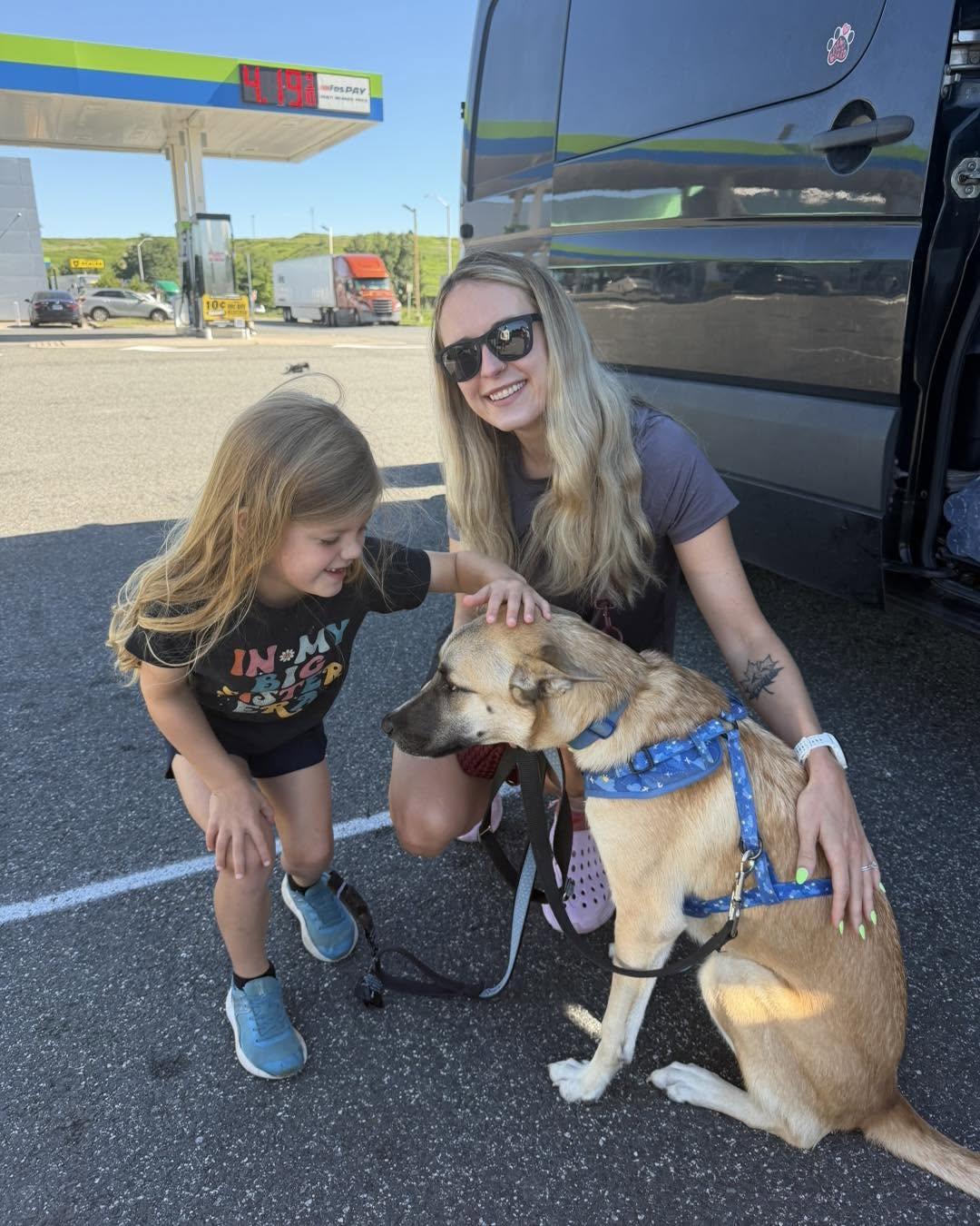 Saving Pups Of Texas (S.P.O.T.) photo 2
