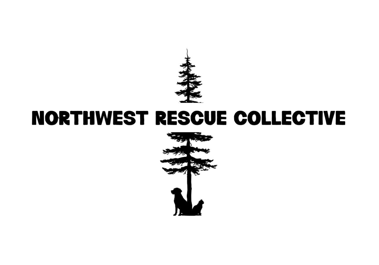 Northwest Rescue Collective photo 1