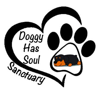 Doggy Has Soul Sanctuary
