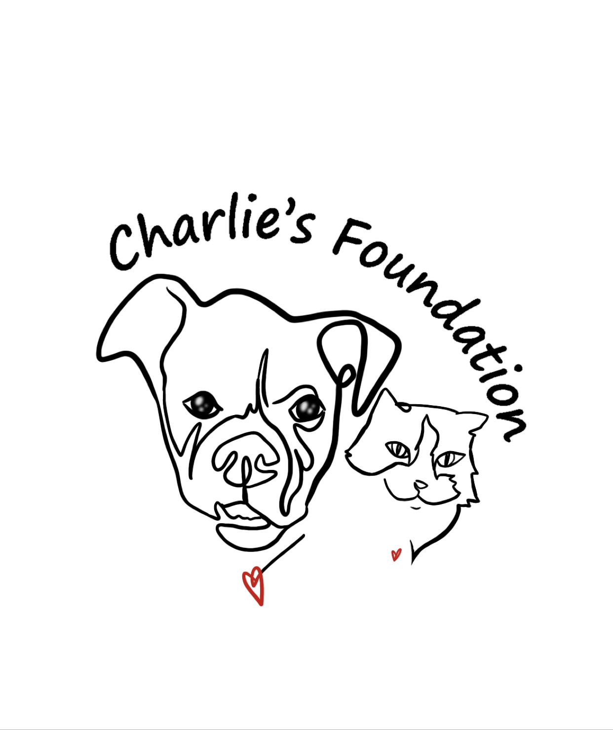 Charlie's Foundation