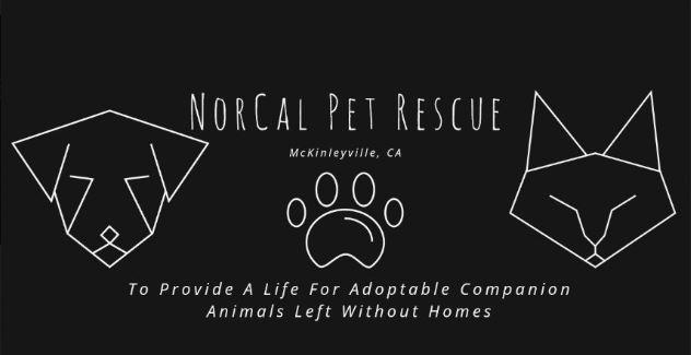 Nor Cal Pet Rescue