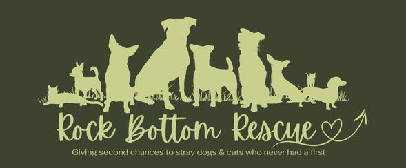 Rock Bottom Rescue