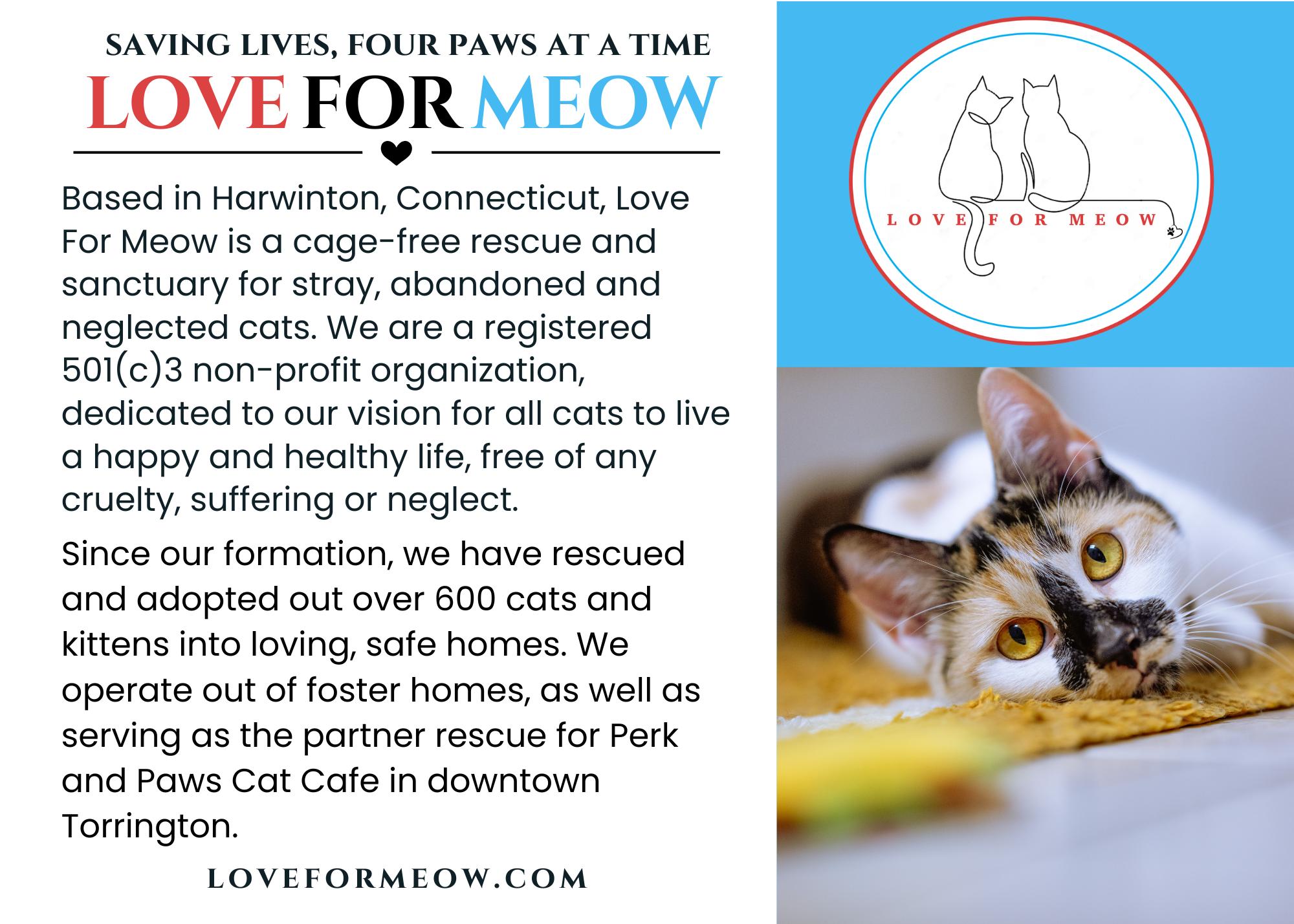 Love For Meow