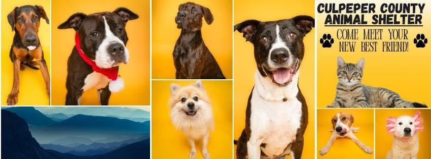 Culpeper County Animal Shelter
