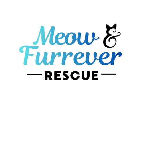 Meow & Furrever Rescue